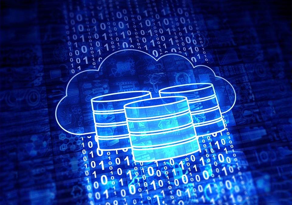 Database cloud backup service for disaster recovery
